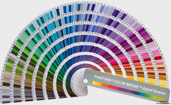 Pantone назвав головний колір 2022 року